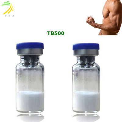 quality Thymosin Beta 4 Vücut Geliştirme Peptidleri Tb500 %99 Saflık factory